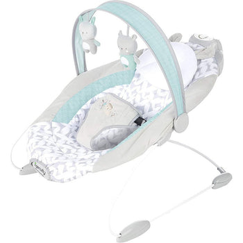 Ingenuity-SmartBounce-Automatic-Bouncer-Raylan-1-1