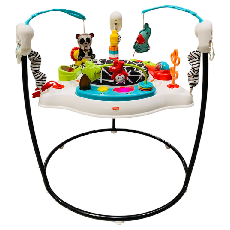 Fisher-Price-Animal-Wonders-Jumperoo-1-7