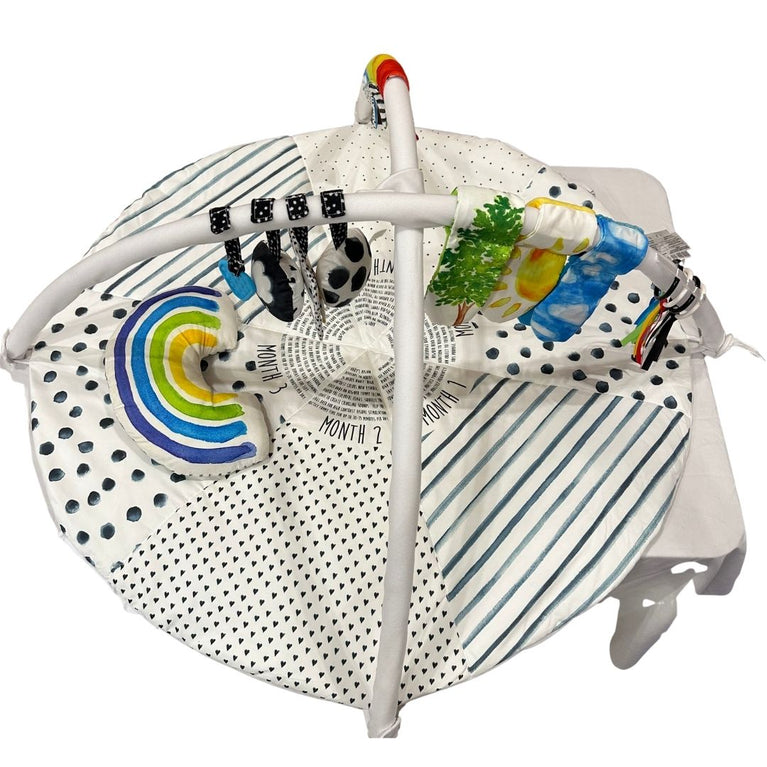 Sassy Stages STEM Developmental Sensory Play Gym