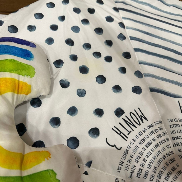 Sassy Stages STEM Developmental Sensory Play Gym