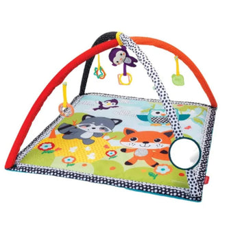 Infantino Pond Pals Activity Gym & Play Mat