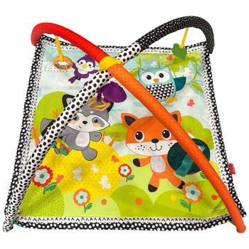 Infantino Pond Pals Activity Gym & Play Mat
