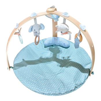 Ingenuity-Cozy-Spot-Duvet-Activity-Gym-3-1