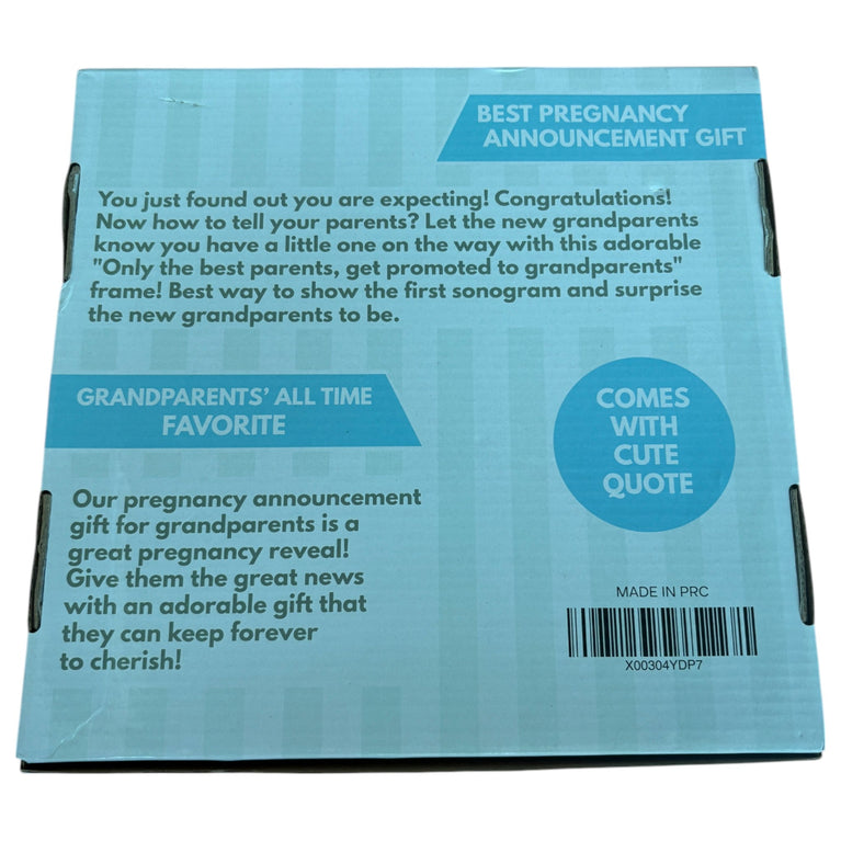 BOOM Moments Sonogram Picture Frame