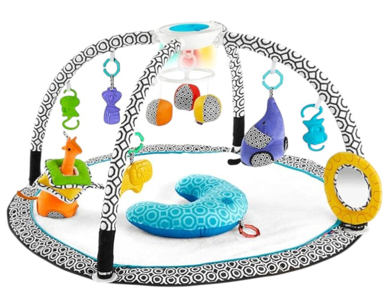 Fisher Price Jonathan Adler Sensory Gym