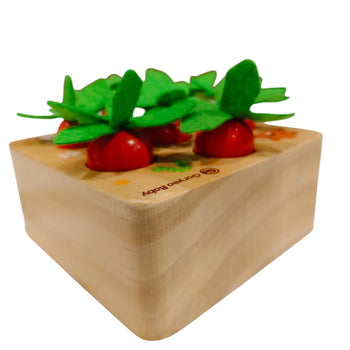 Sorting & Matching Puzzle Carrots Harvest Game