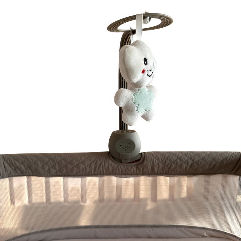 Bumble & Bird Adjustable Bedside Bassinet/Crib