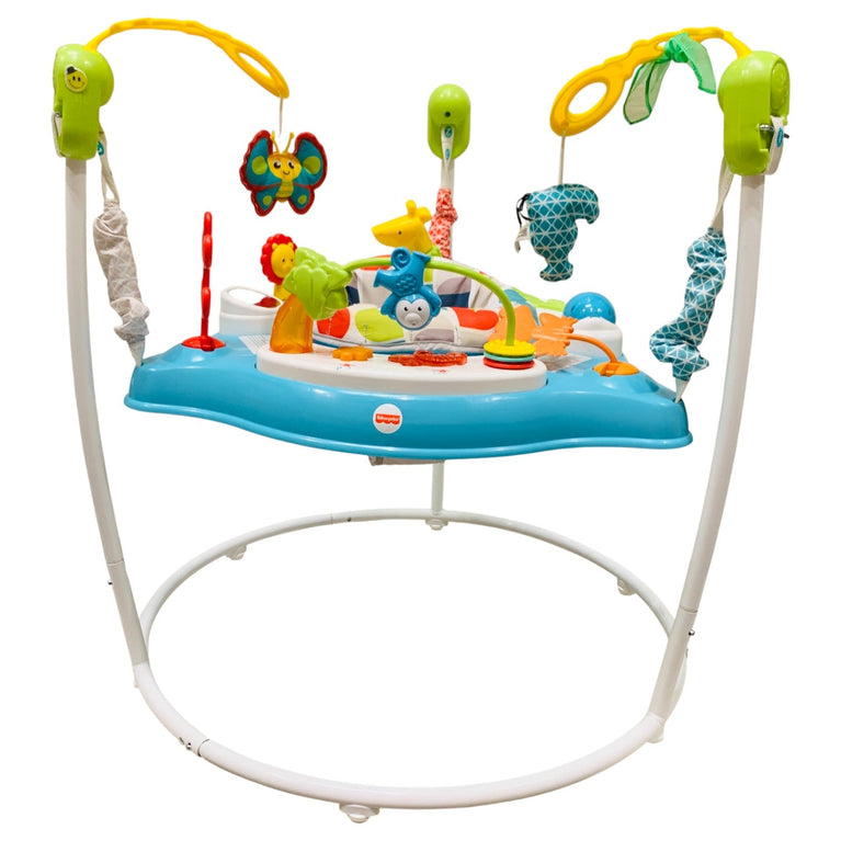 Fisher-Price-Baby-Bouncer-Color-Climbers-Jumperoo-Activity-Center-1-6