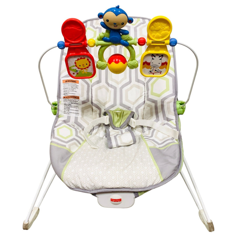 Fisher-Price-Baby's-Bouncer-Geo-Meadow-2-2
