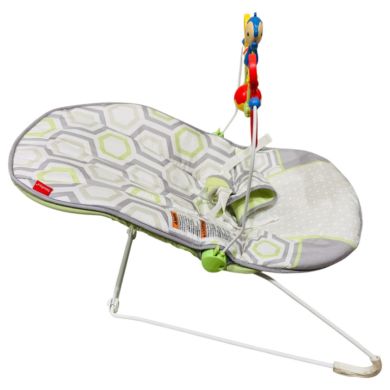 Fisher-Price-Baby's-Bouncer-Geo-Meadow-2-3