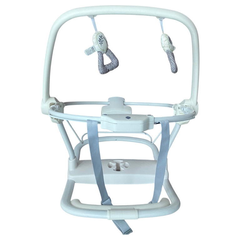 Joie-Sansa-2-in-1-Swing-Fern-1-9