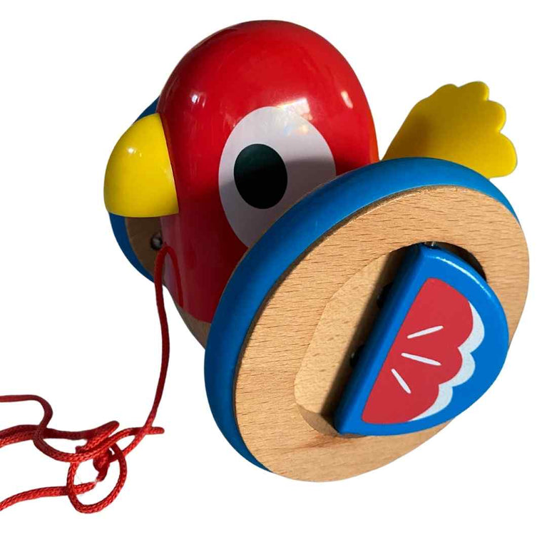 Hape-Push-&-Pull-Along-Bird-2