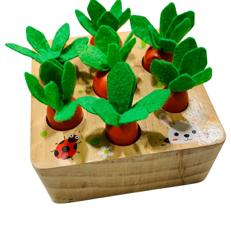 Carrot-Sensory-Educational-Toy-1-4