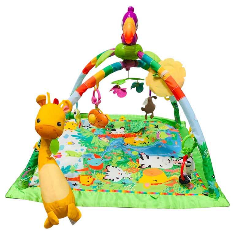 Fisher-Price-Baby-Deluxe-Rainforest-Gym-Play-Mat-1-3