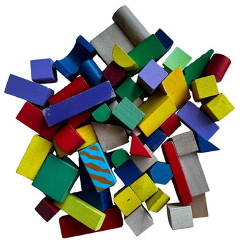 Viga Colourful Block Set (50 Pcs)