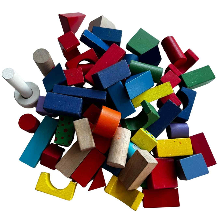 Viga Colourful Block Set (50 Pcs)