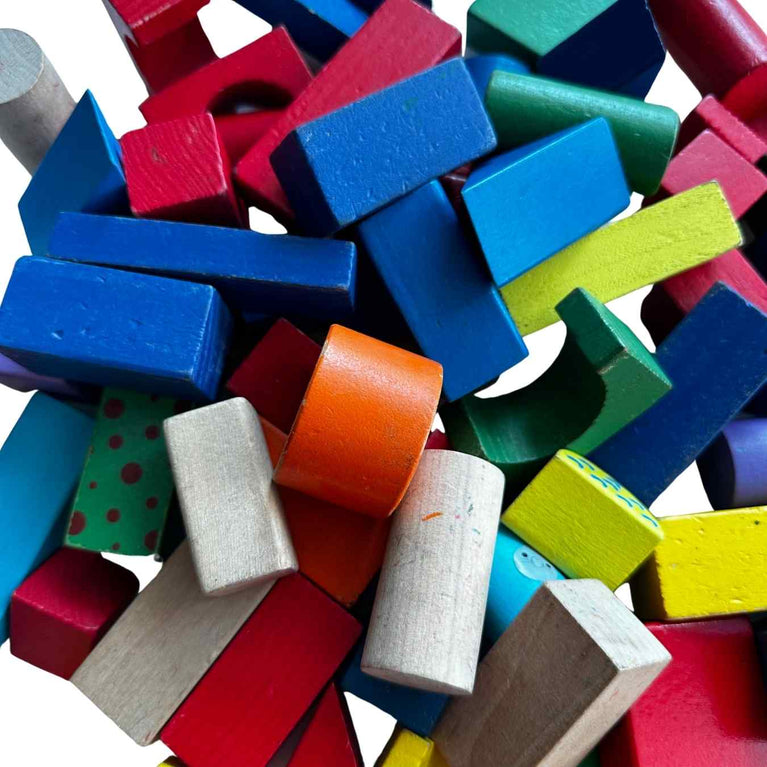 Viga Colourful Block Set (50 Pcs)