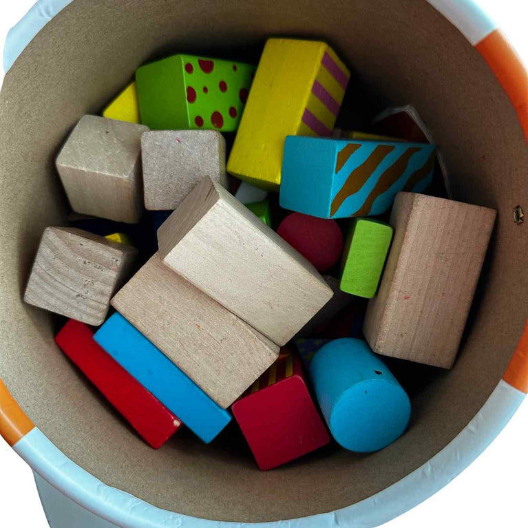 Viga Colourful Block Set (50 Pcs)