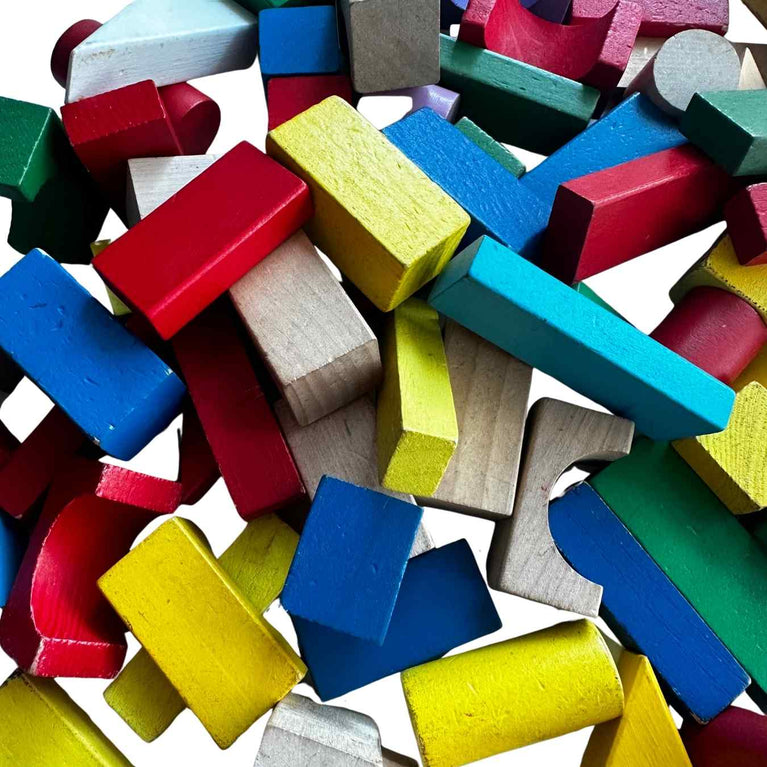 Viga Colourful Block Set (50 Pcs)