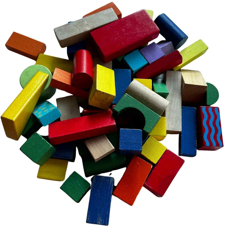 Viga Colourful Block Set (50 Pcs)