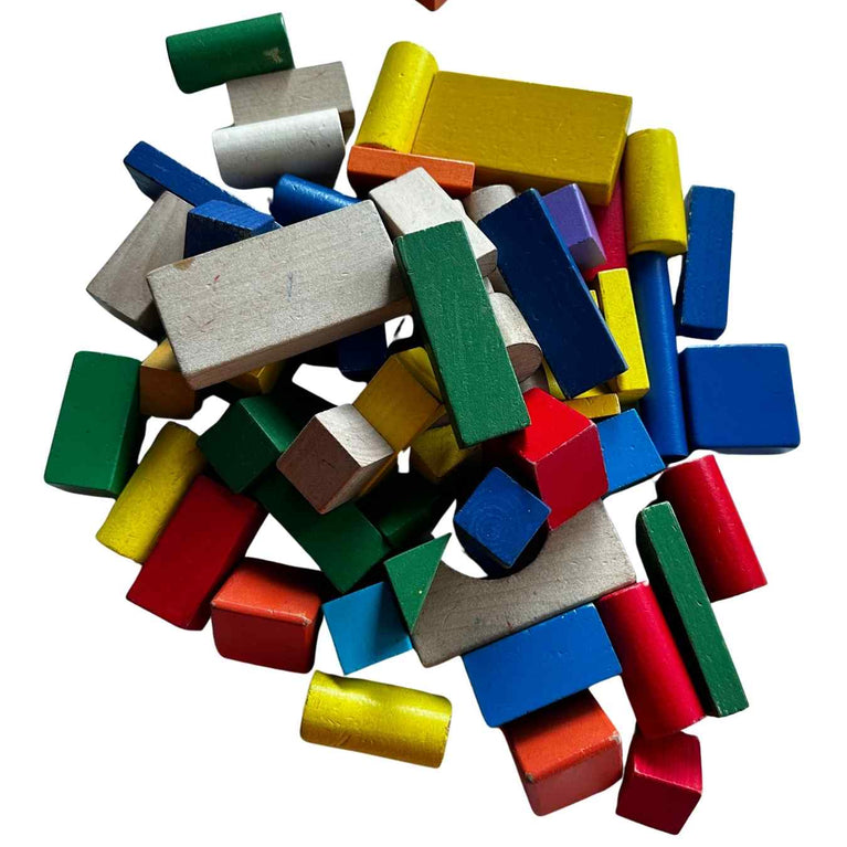 Viga Colourful Block Set (50 Pcs)