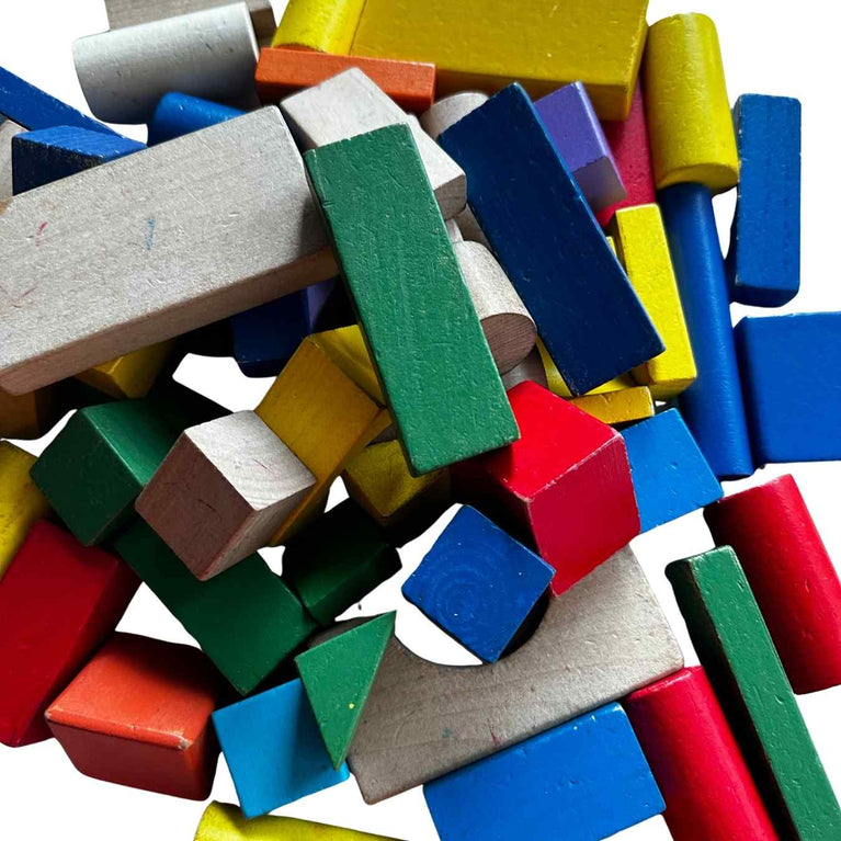 Viga Colourful Block Set (50 Pcs)