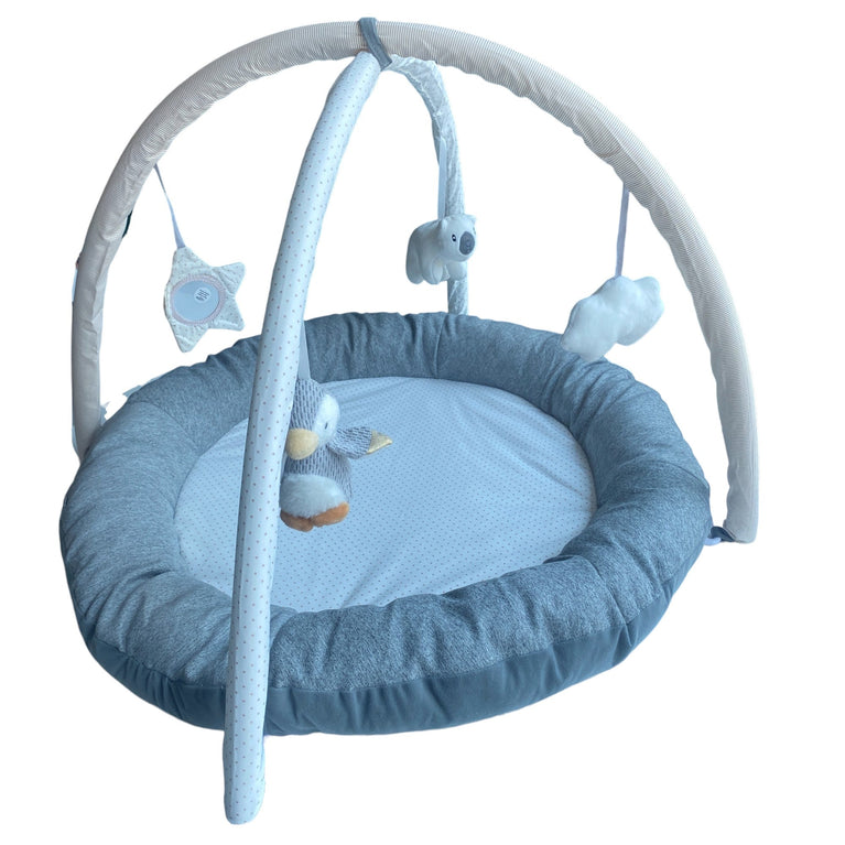 Penguin & Pals Nuby Play Gym