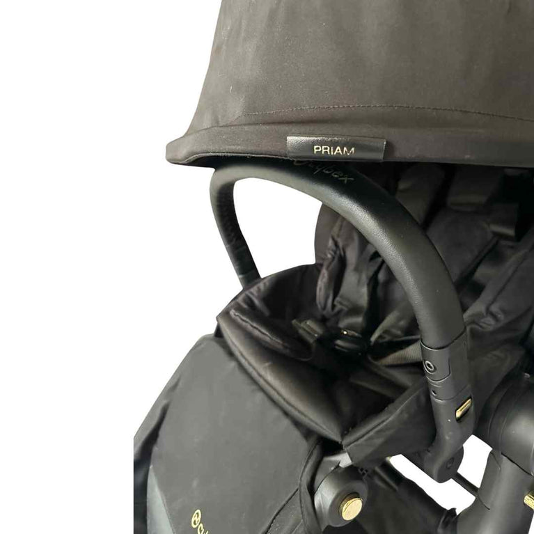 Cybex-Platinum-Priam-Stroller-'Wings'-by-Jeremy-Scott-(2021)-14