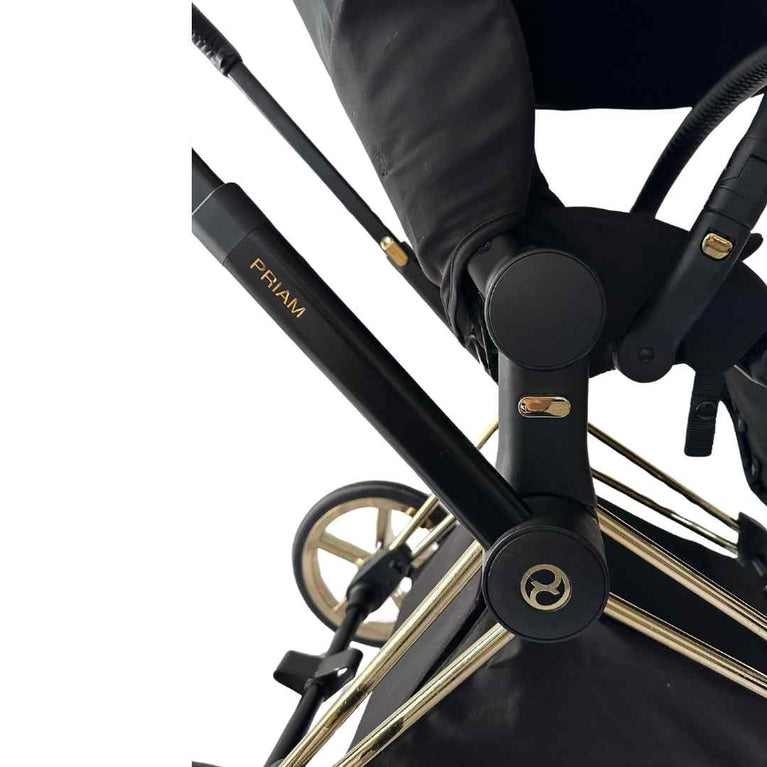 Cybex-Platinum-Priam-Stroller-'Wings'-by-Jeremy-Scott-(2021)-19
