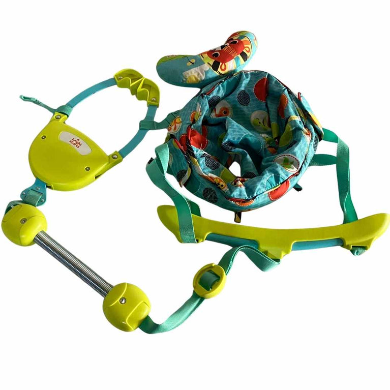 Bright-Stars-Zig-Zag-Zebra-Door-Jumper-8