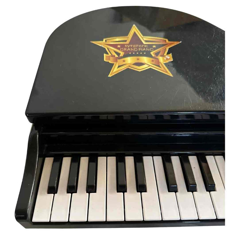 ToySchool-Symphonic-Grand-Piano-Set-4