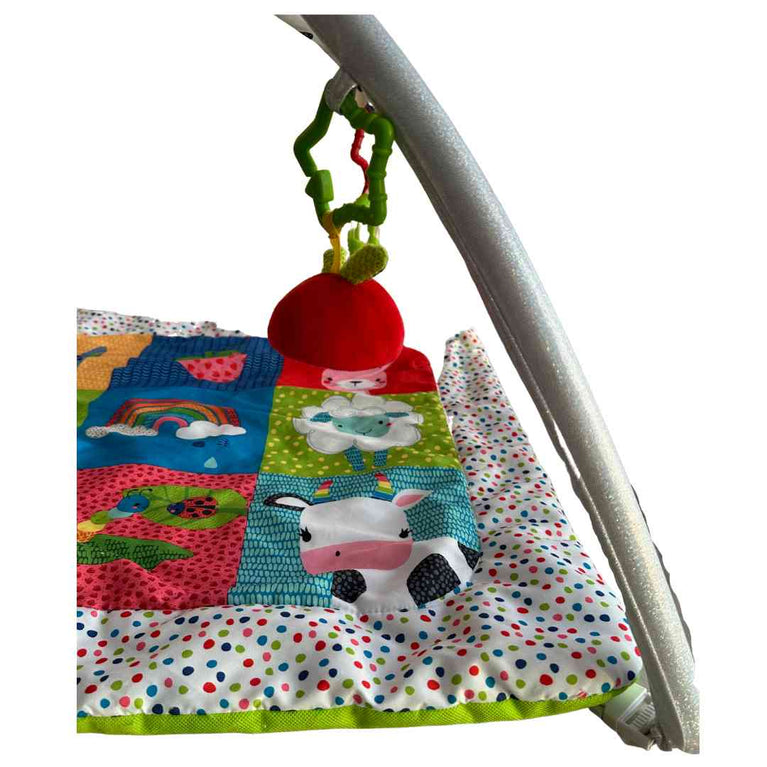 ELC-Blossom-Farm-Activity-Playgym-5