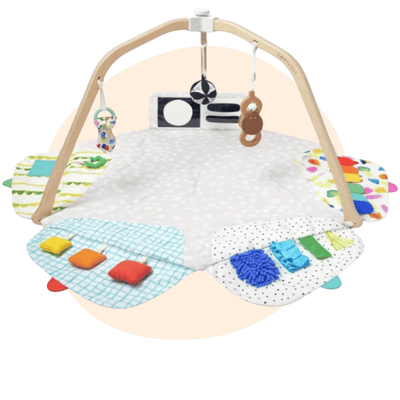 Activity Gyms & Playards