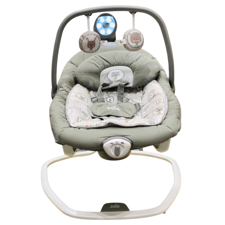 Joie-Serina-2-in-1-Portrait-Swing-4-3