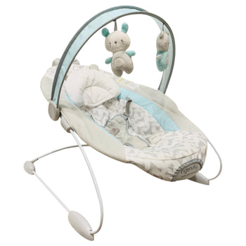 Ingenuity-SmartBounce-Automatic-Bouncer-Raylan-2-1