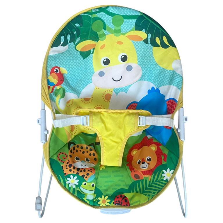 Amla-Baby-Bouncer-Multicolor-1-3