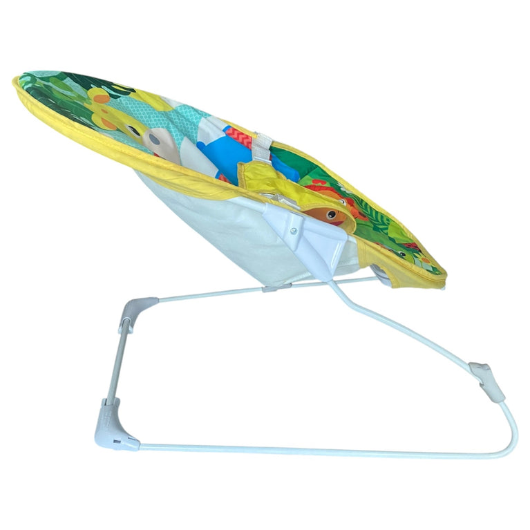 Amla-Baby-Bouncer-Multicolor-1-4