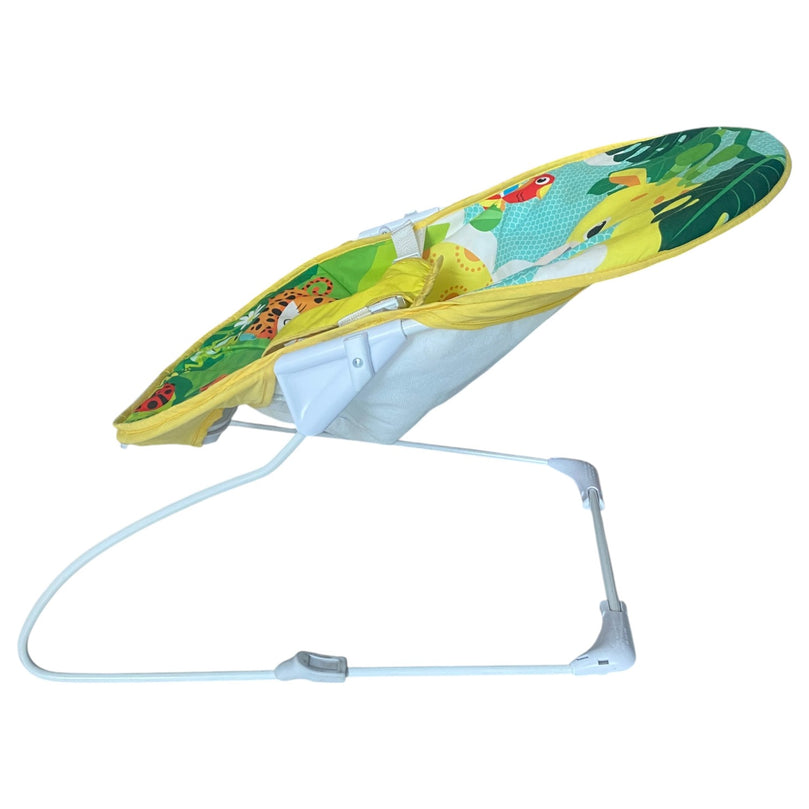 Amla-Baby-Bouncer-Multicolor-1-5