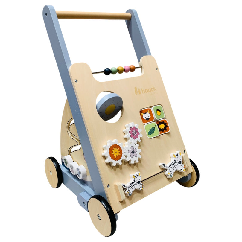 Jump-N-Joy-2-in-1-Baby-Walker-1-1