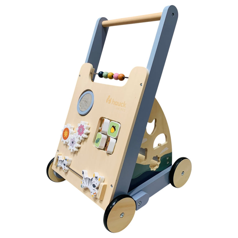 Jump-N-Joy-2-in-1-Baby-Walker-1-3