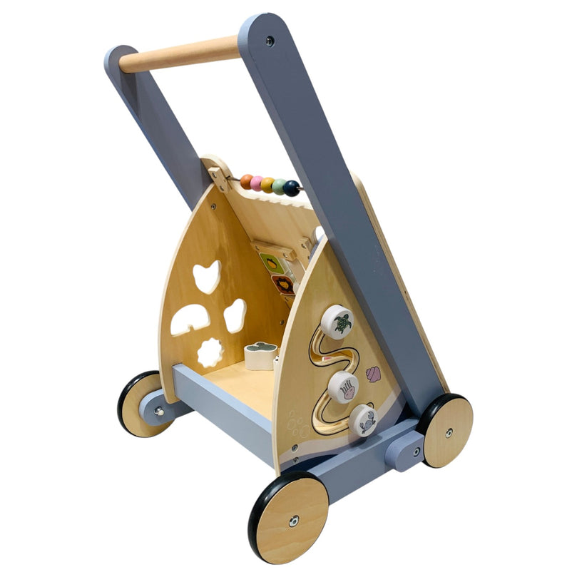 Jump-N-Joy-2-in-1-Baby-Walker-1-4