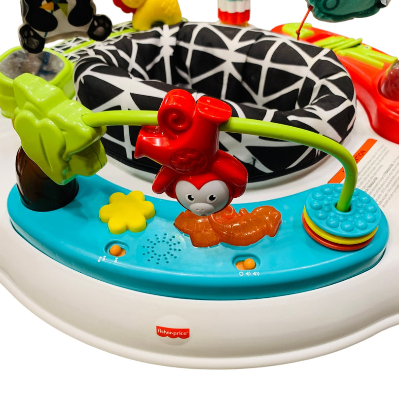 Fisher-Price-Animal-Wonders-Jumperoo-1-4