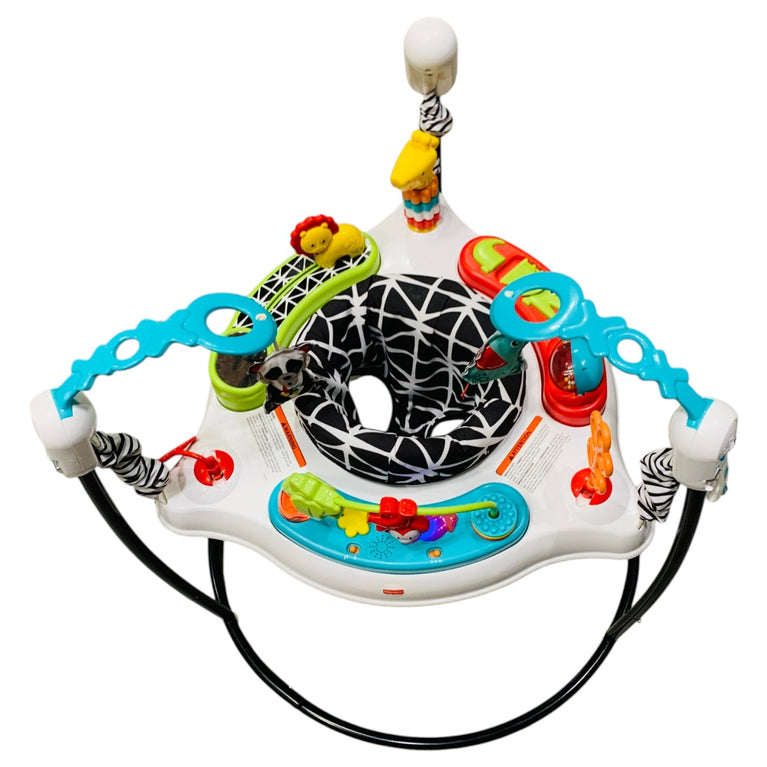 Fisher-Price-Animal-Wonders-Jumperoo-1-6