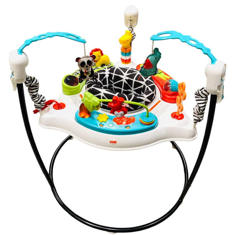 Fisher-Price-Animal-Wonders-Jumperoo-1-8