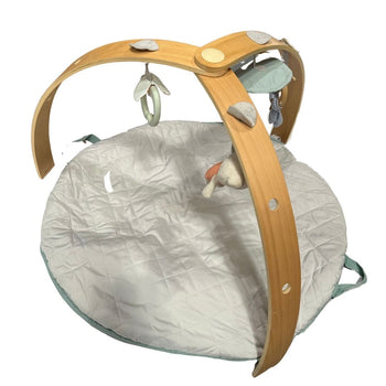 Ingenuity Cozy Spot Duvet Activity Gym with Self-Storage - Loamy