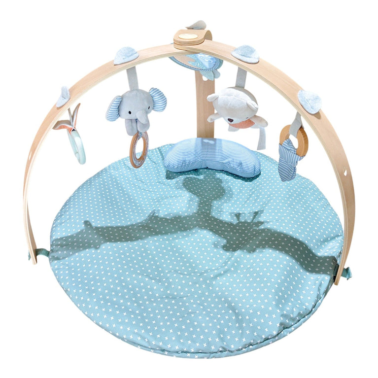 Ingenuity-Cozy-Spot-Duvet-Activity-Gym-3-1