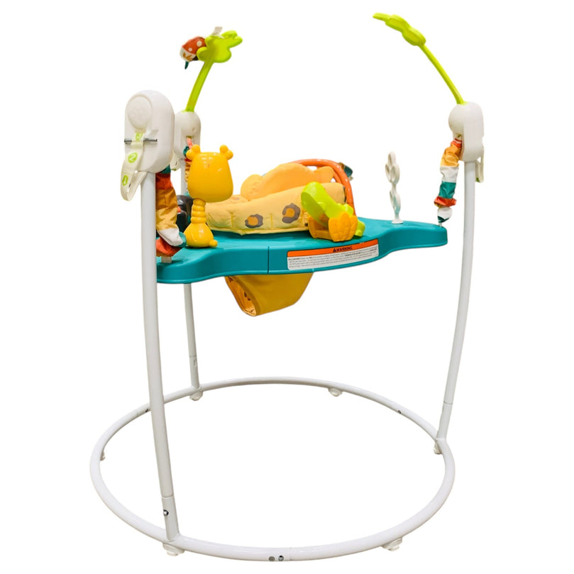 Fisher-Price-Fisher-Price-Leaping-Leopard-Jumperoo-with-Lights-and-Sounds-2-6