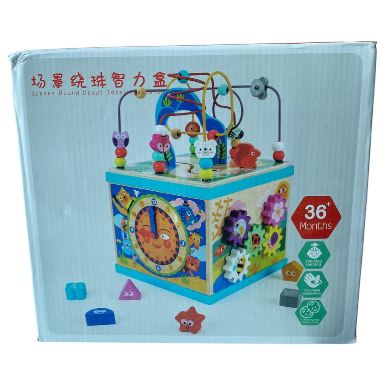 Multifunction-Wooden-Activity-Cube-1-9