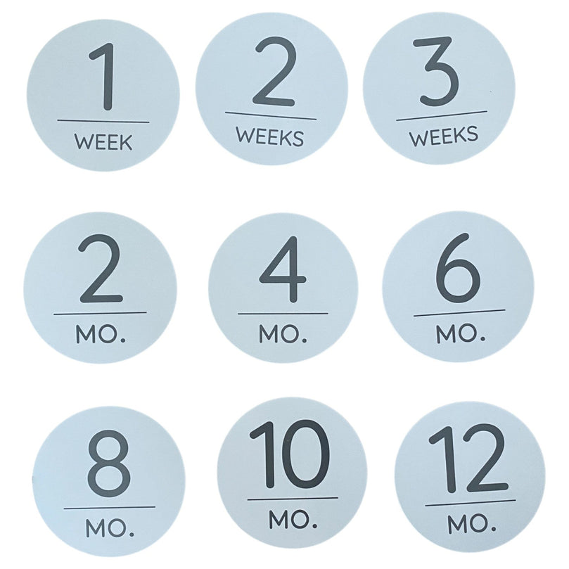 Skip-Hop-Little-Swan-Milestone-Playmat-1-7