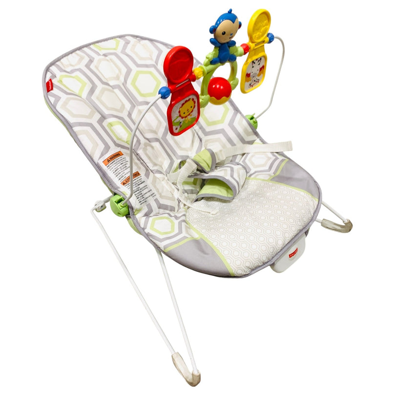 Fisher-Price-Baby's-Bouncer-Geo-Meadow-2-1